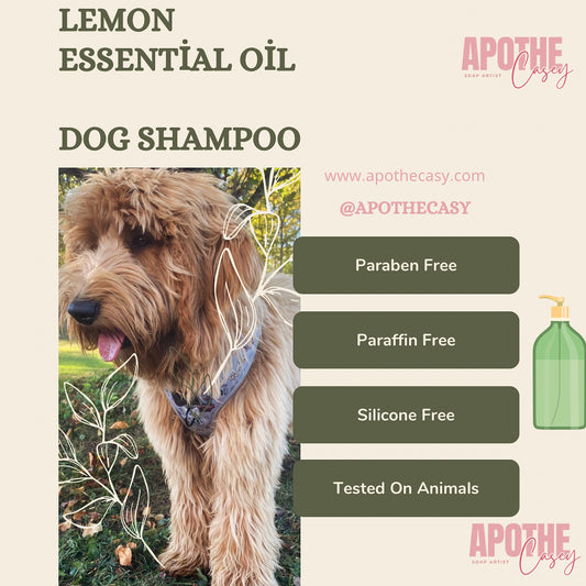 Dog Shampoo